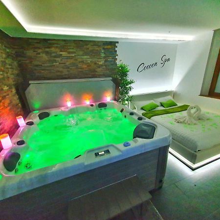 -GITE COCOON SPA-JACUZZI-JARDIN-PARKING Privé-CLIMATISATION Holtzwihr Exterior foto