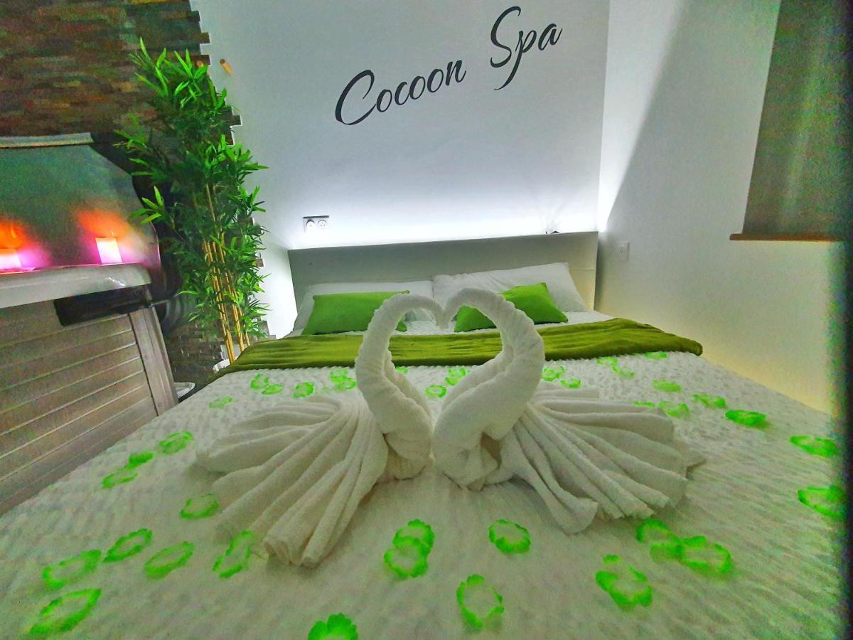 -GITE COCOON SPA-JACUZZI-JARDIN-PARKING Privé-CLIMATISATION Holtzwihr Exterior foto